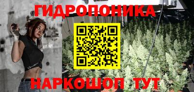 спиды Гусев