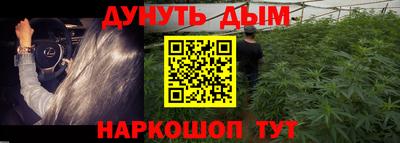 спиды Гусев