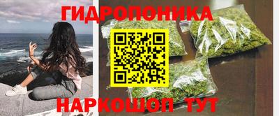 спиды Гусев