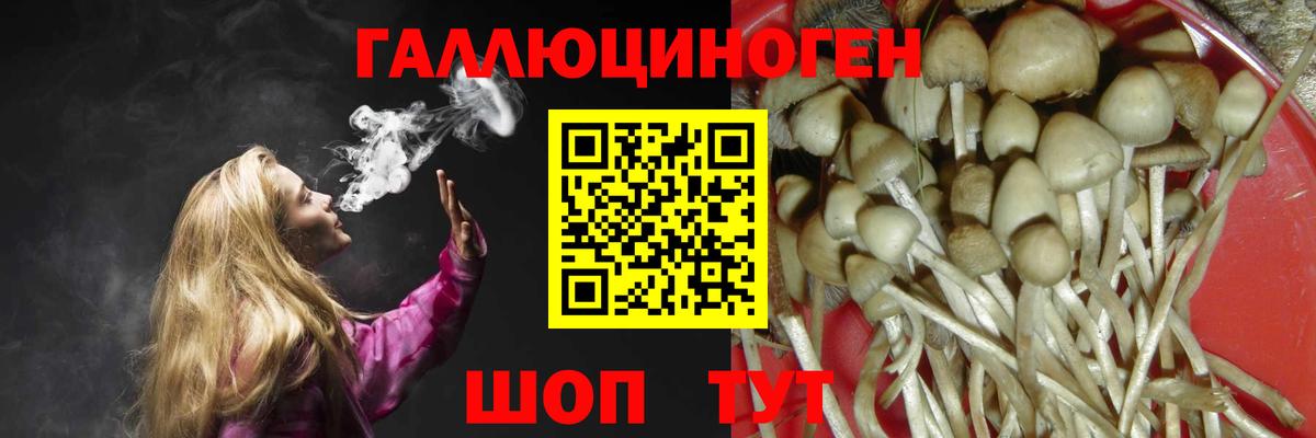 Псилоцибиновые грибы Psilocybine cubensis Петропавловск-Камчатский
